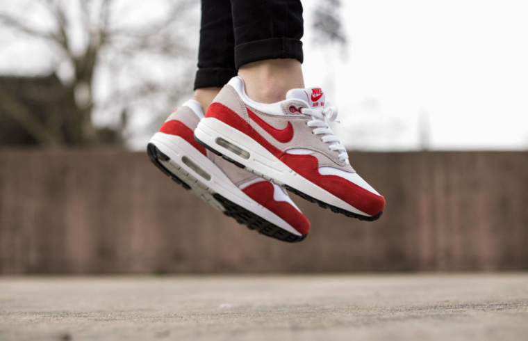 energía Cortar problema L'histoire de la Nike Air Max 1 - EMS